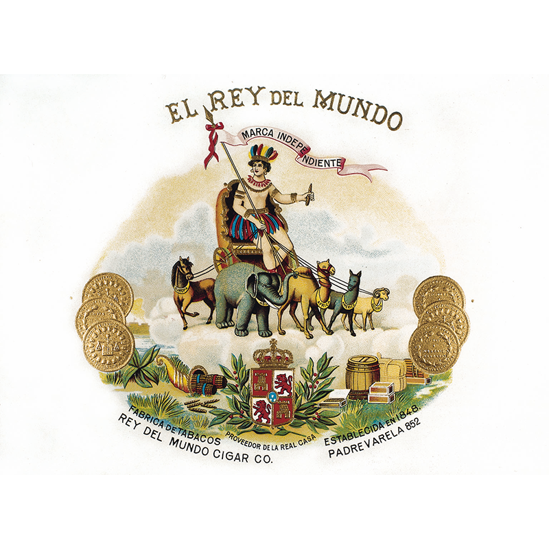 EL REY DEL MUNDO